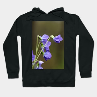 Blue flowers Hoodie